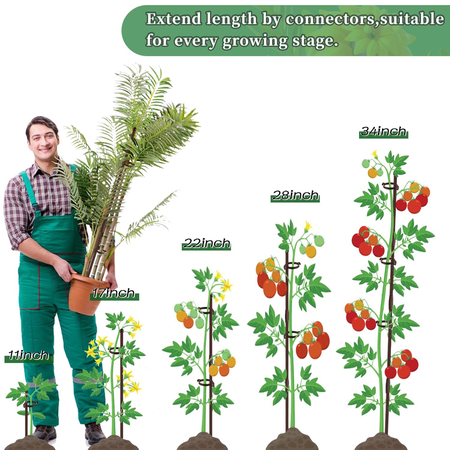 SupKing strapping tapes allow quick, reliable ties around stems.