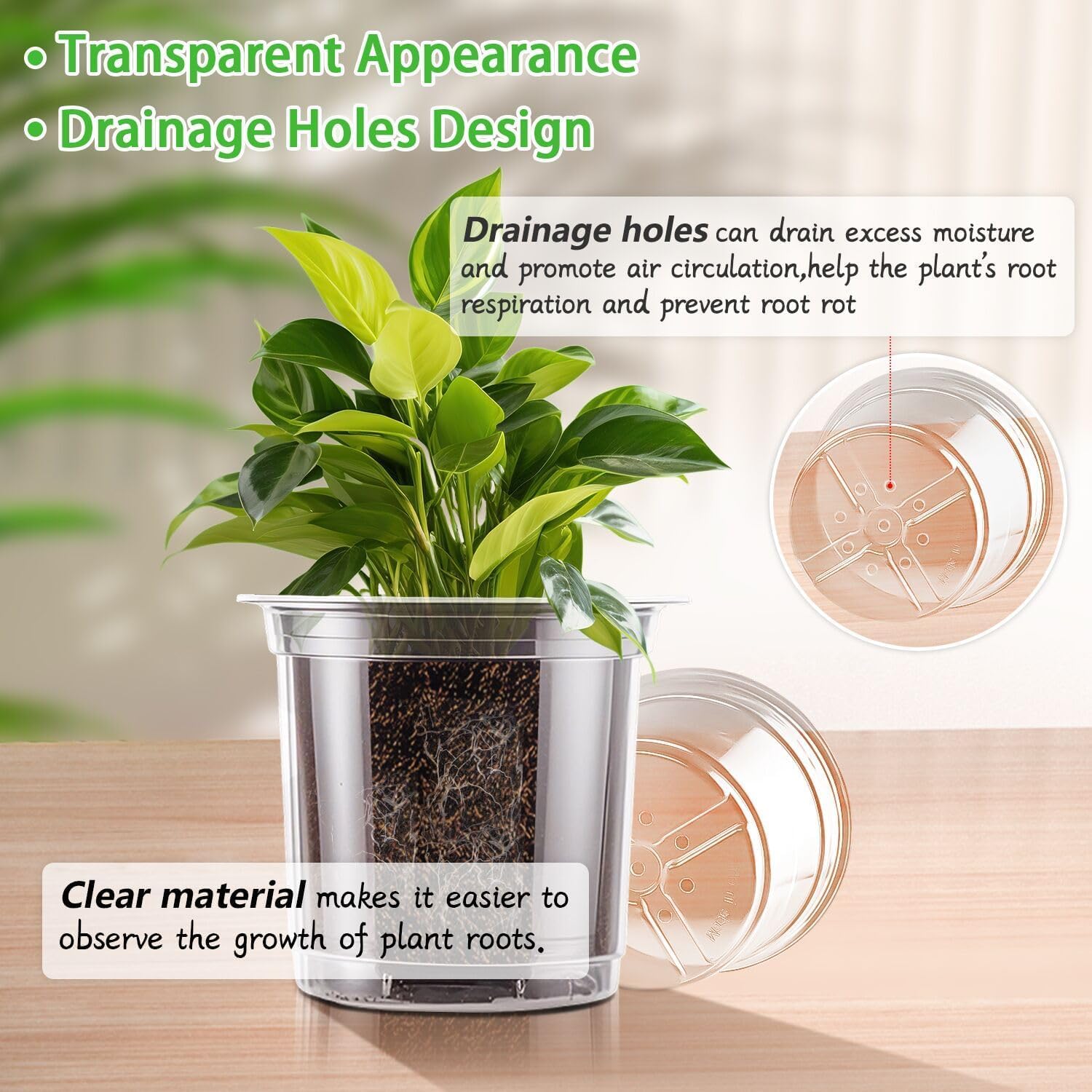SupKing transparent nursery pots showing clear root-view for moisture assessment.