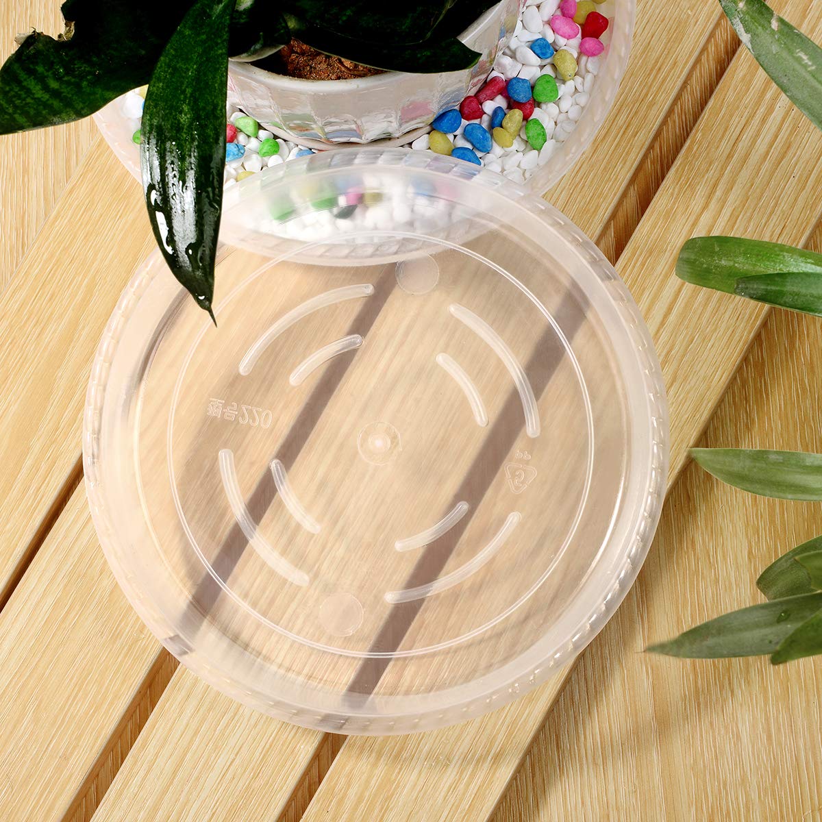 SupKing transparent saucer enables clear water level monitoring for indoor plants.