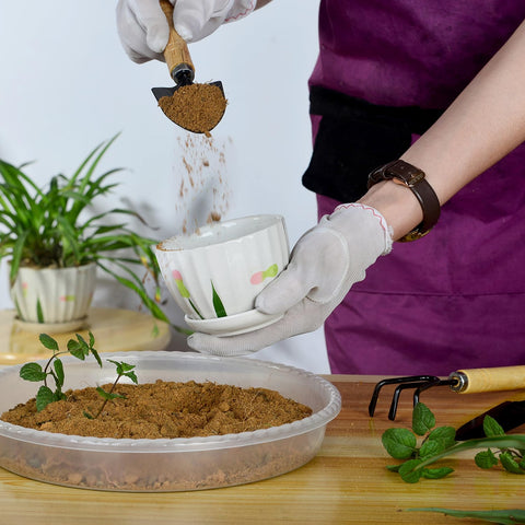 SupKing two-pack of 14-inch saucers for versatile plant setups.