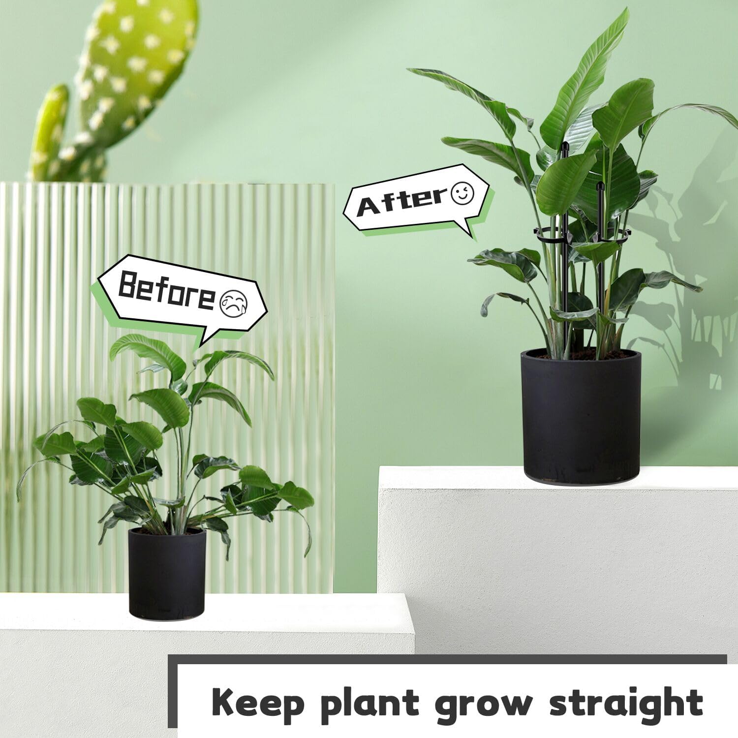 SupKing stakes supporting vegetables and orchids for neat, upright growth