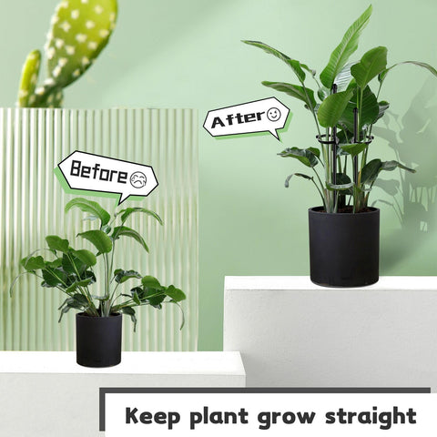 SupKing stakes supporting vegetables and orchids for neat, upright growth