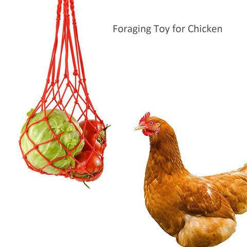 Bright-colored Suplklz pocket attracts flock to veggie feeding