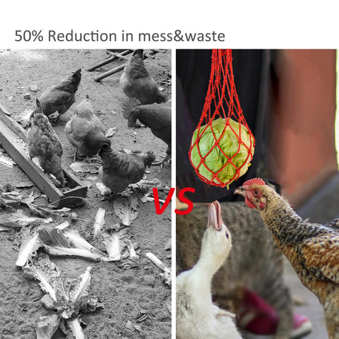 Dense mesh holds small veggie pieces securely and reduces waste