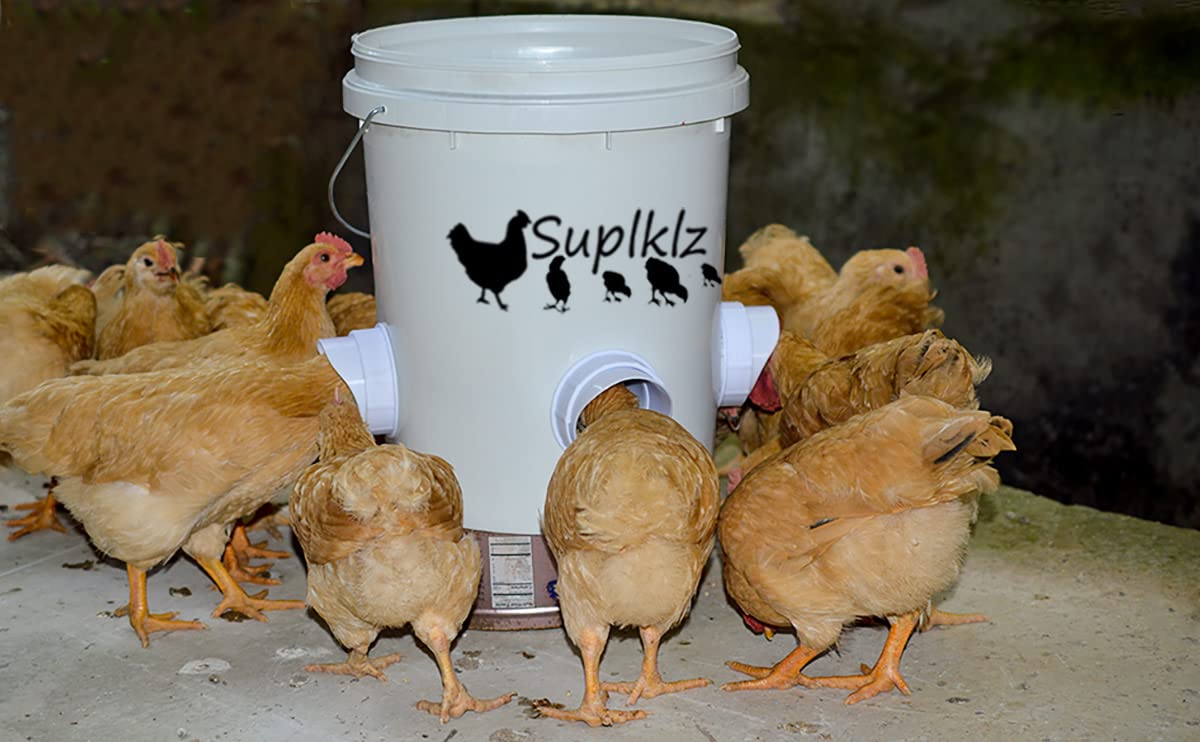 Suplklz outdoor poultry feeder kit ready for simple setup.