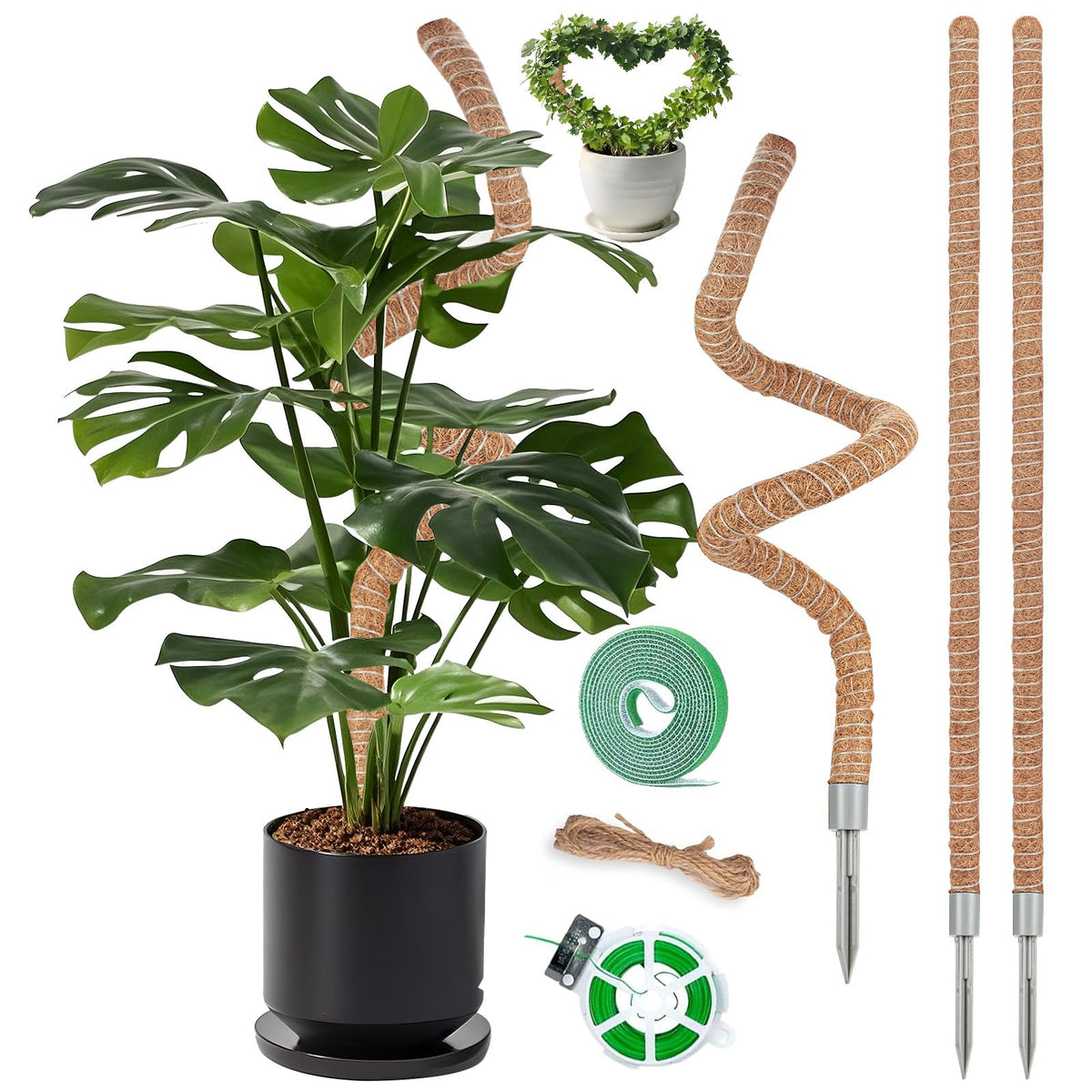 Suprock 3-pack moss poles for 48-inch climbers enhance vertical growth.