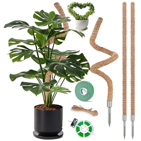 Suprock 3-pack moss poles for 48-inch climbers enhance vertical growth.