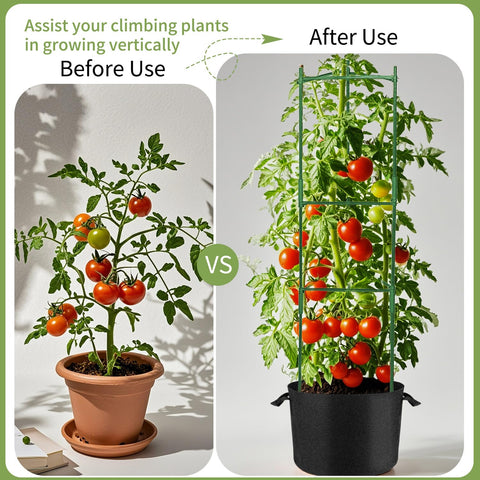 Suprock breathable 10-gallon grow bags enhance airflow and mobility.