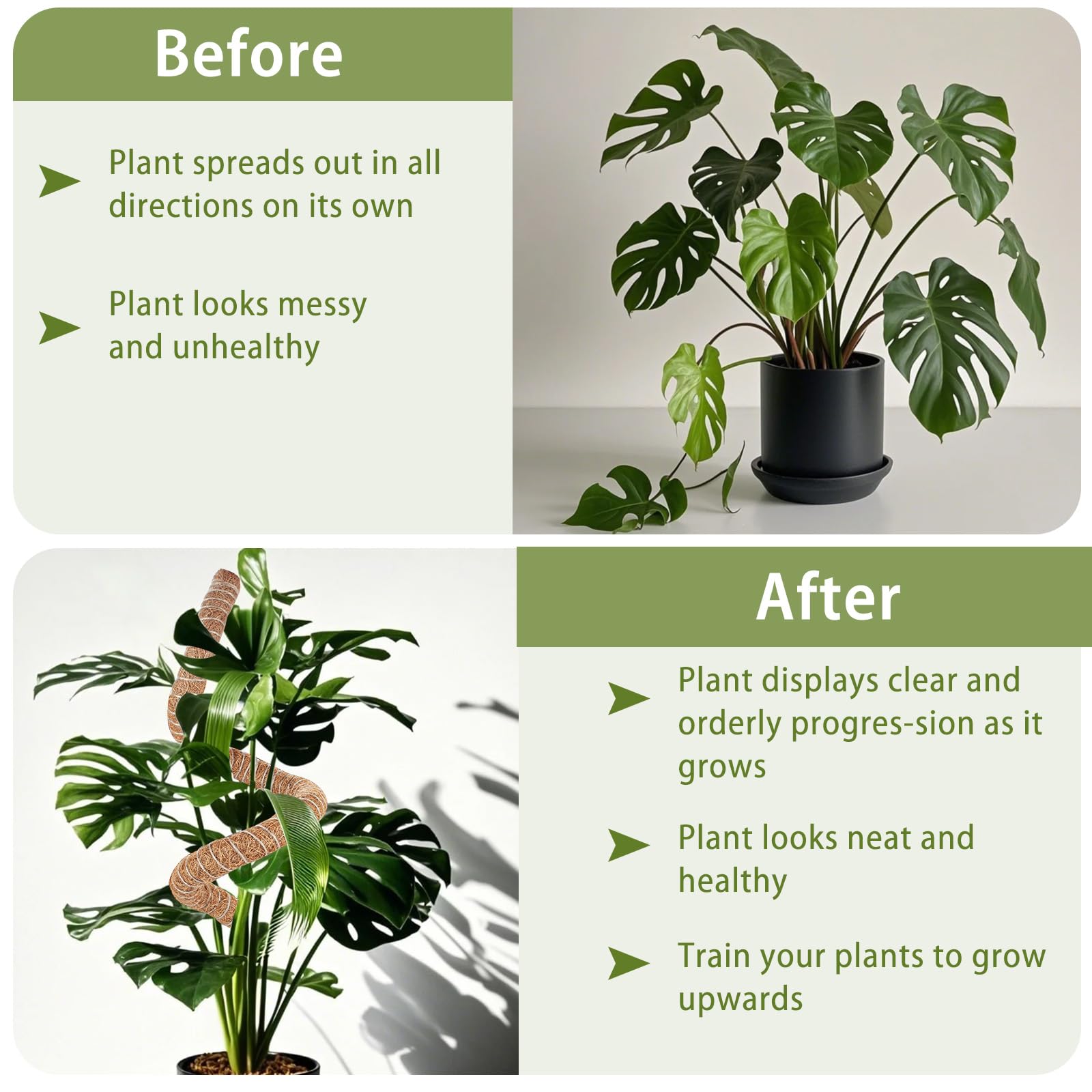 Use Suprock moss poles to train vines toward light and form displays.