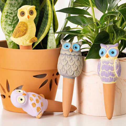 Sure Yuesi terracotta owl watering globes offer consistent moisture for herbs, succulents, and flowers.