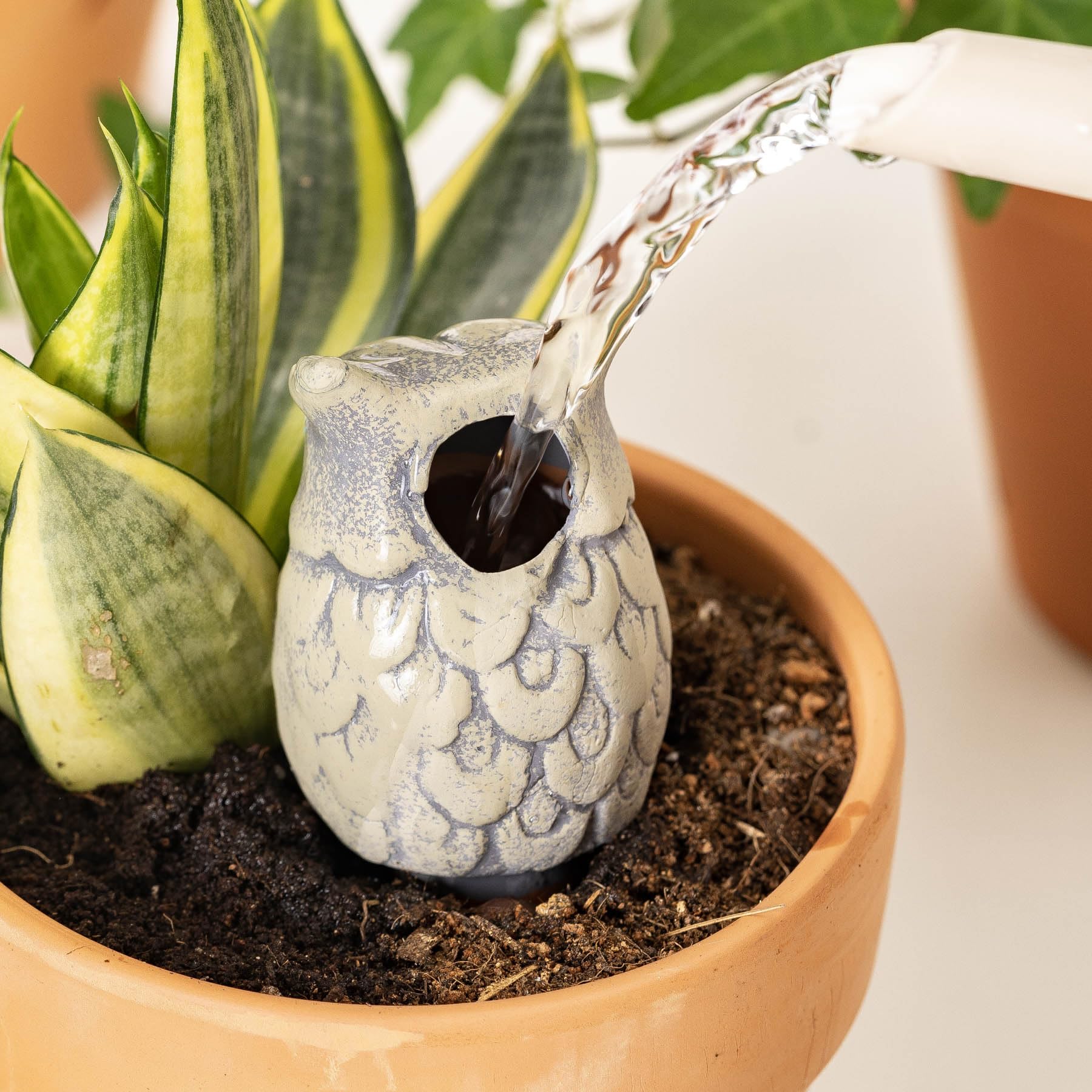 Sure Yuesi indoor-outdoor plant spikes support vacation care with lingering moisture.