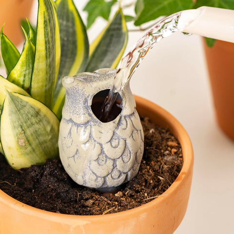 Sure Yuesi indoor-outdoor plant spikes support vacation care with lingering moisture.