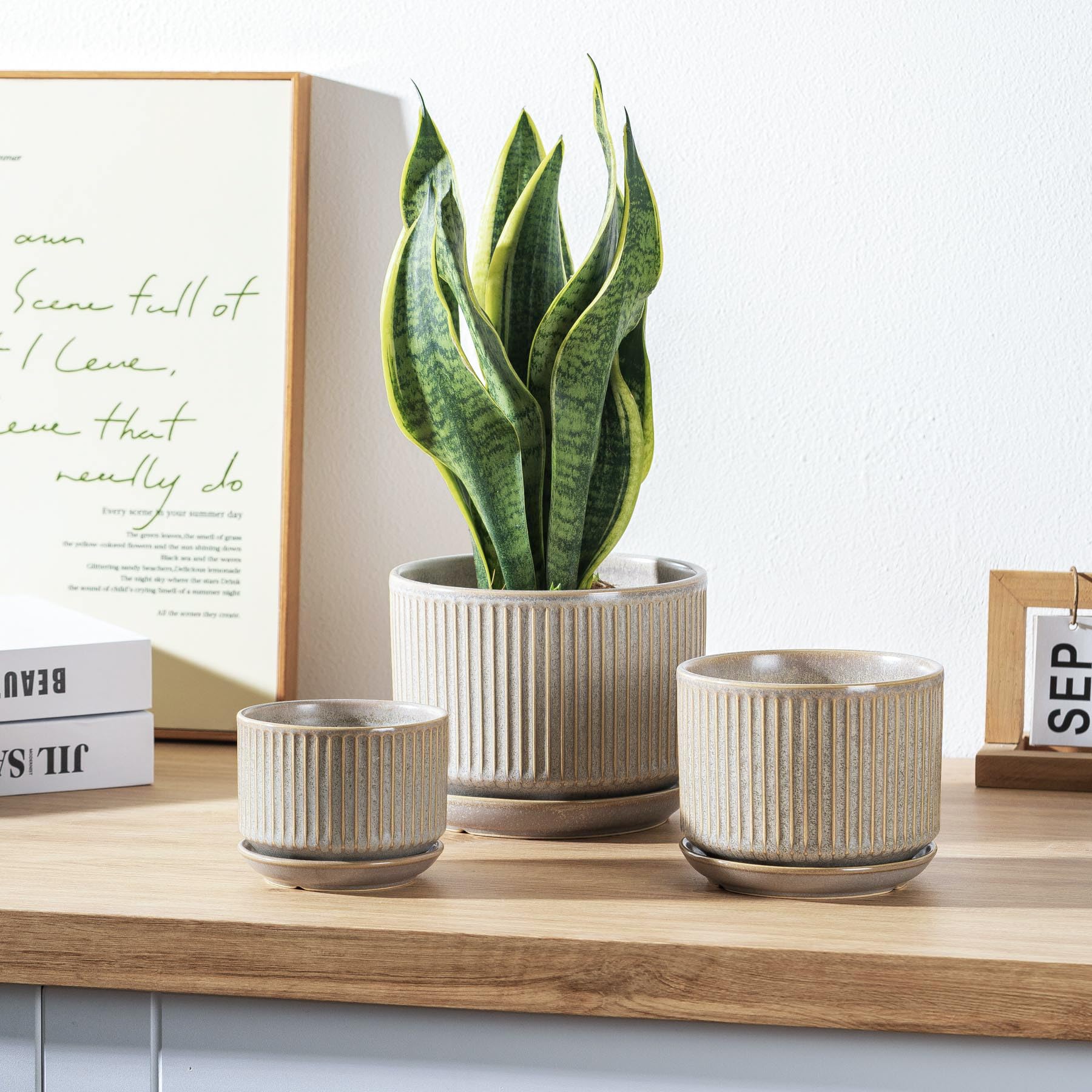 Sure Yuesi speckle gray pot 5.5-inch perfect for mid-sized succulents and herbs.