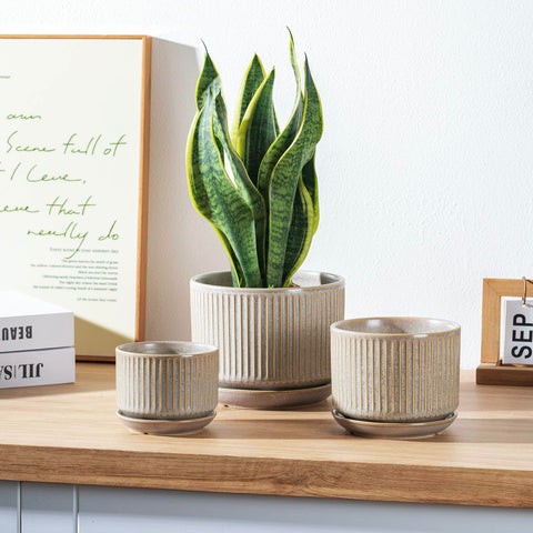 Sure Yuesi speckle gray pot 5.5-inch perfect for mid-sized succulents and herbs.