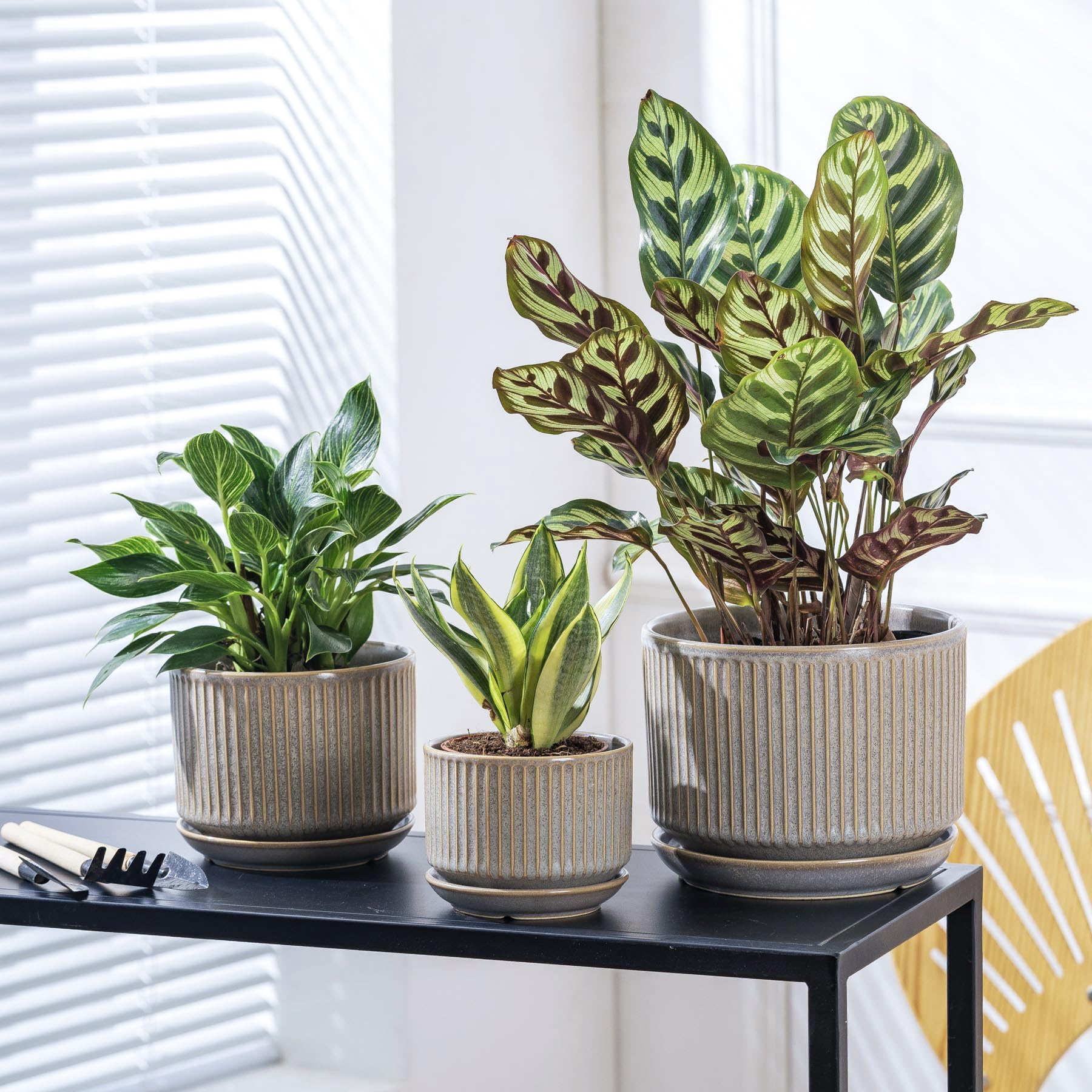 Sure Yuesi vertical striped texture adds modern style to any shelf.