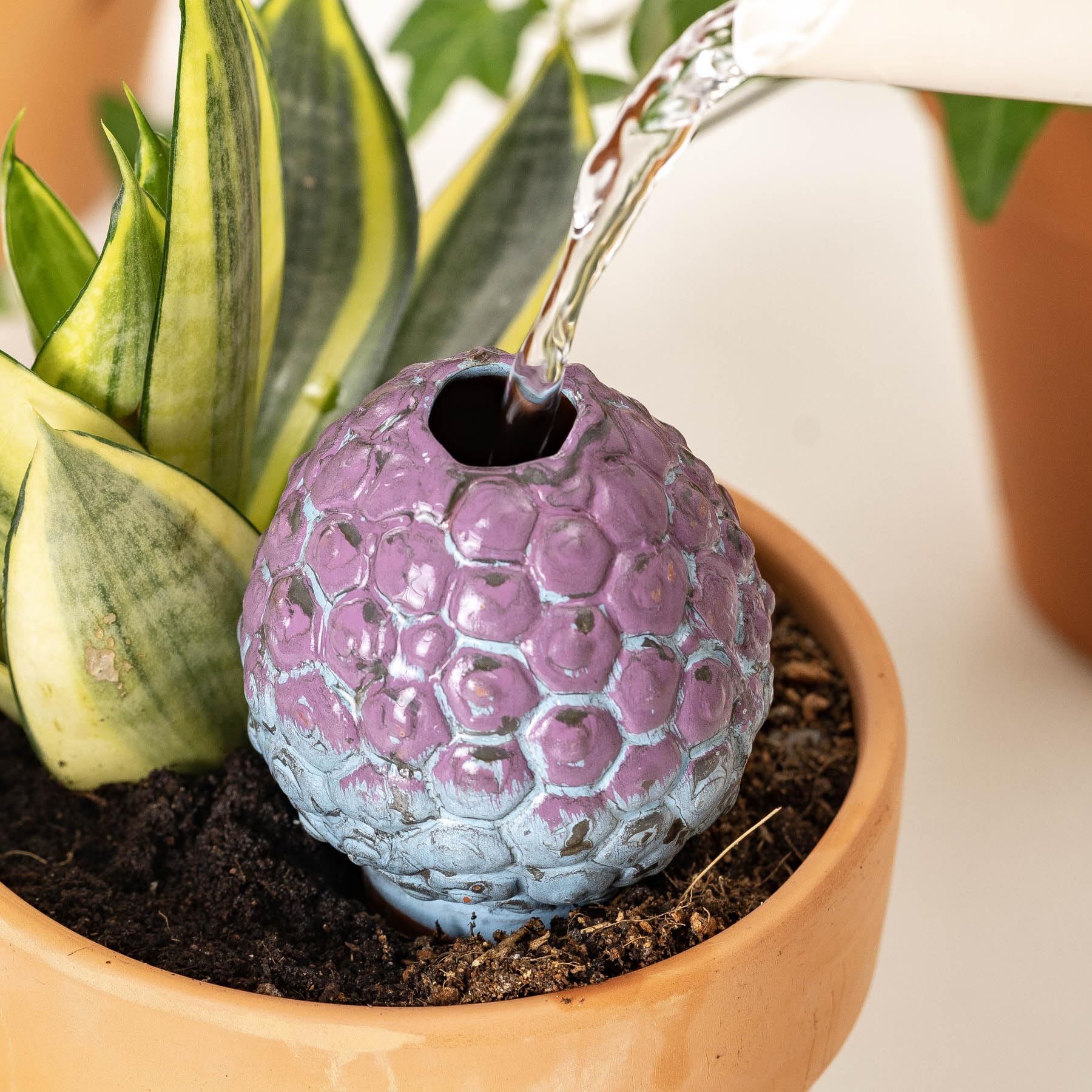 SURE YUESI four-pack in pots, versatile for different plant sizes and setups.