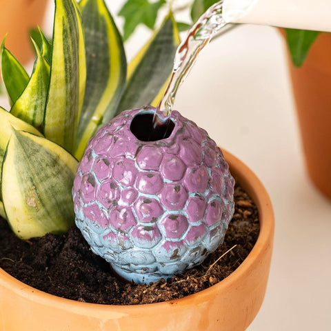 SURE YUESI four-pack in pots, versatile for different plant sizes and setups.