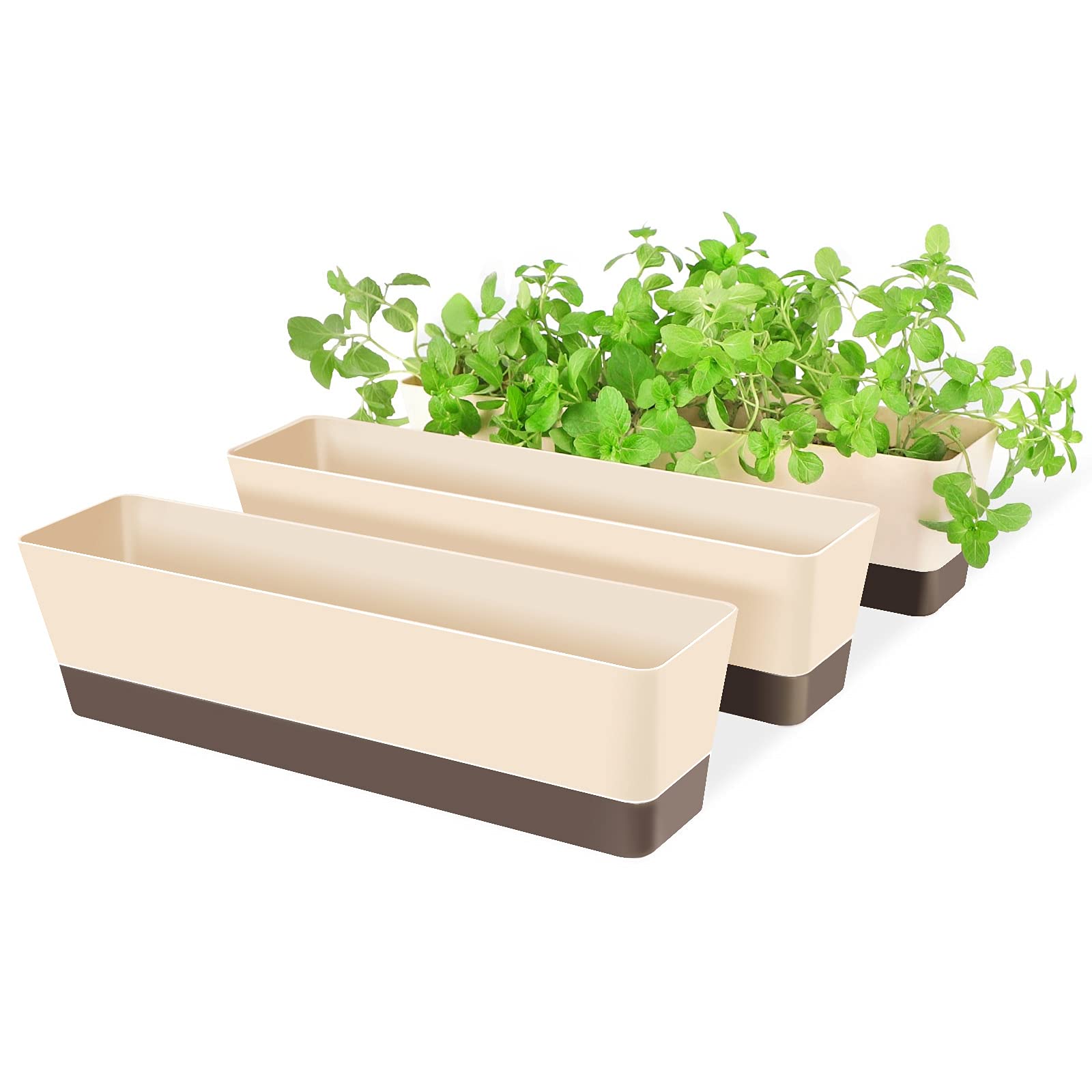Suream window box pack viewed front, ideal space-saving herb planters for windowsills.