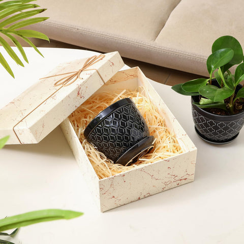 Sureasy pot with saucer and drainage hole for clean, mess-free watering