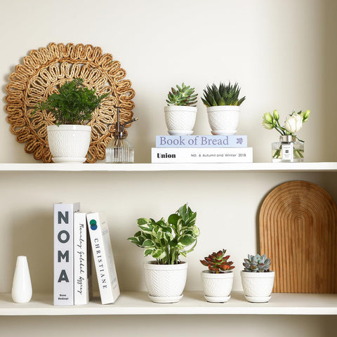 Sureasy pots suit indoor plants on windowsills shelves or desks