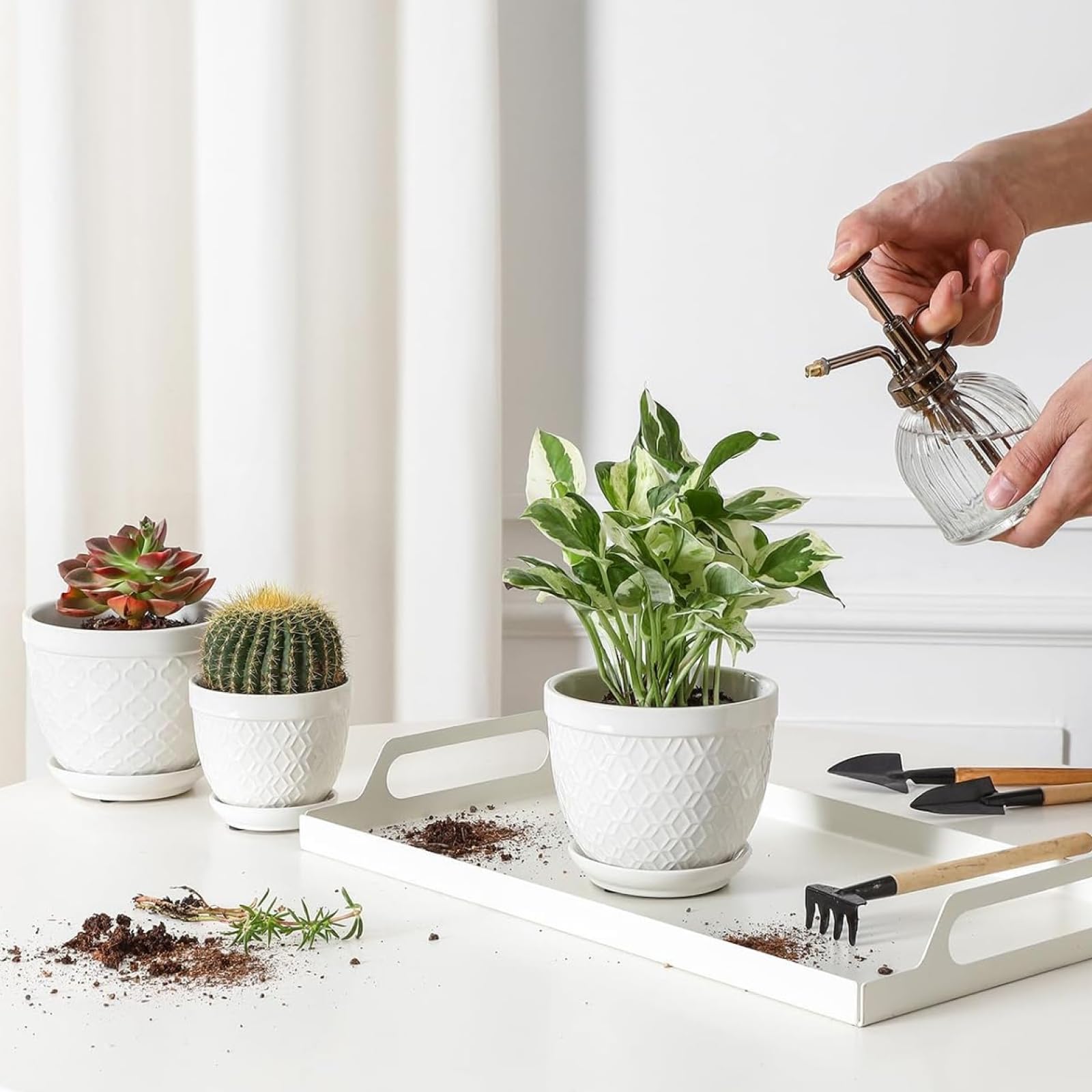Sureasy succulent pots minimalist glaze blends with modern boho and traditional decor
