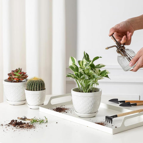 Sureasy succulent pots minimalist glaze blends with modern boho and traditional decor