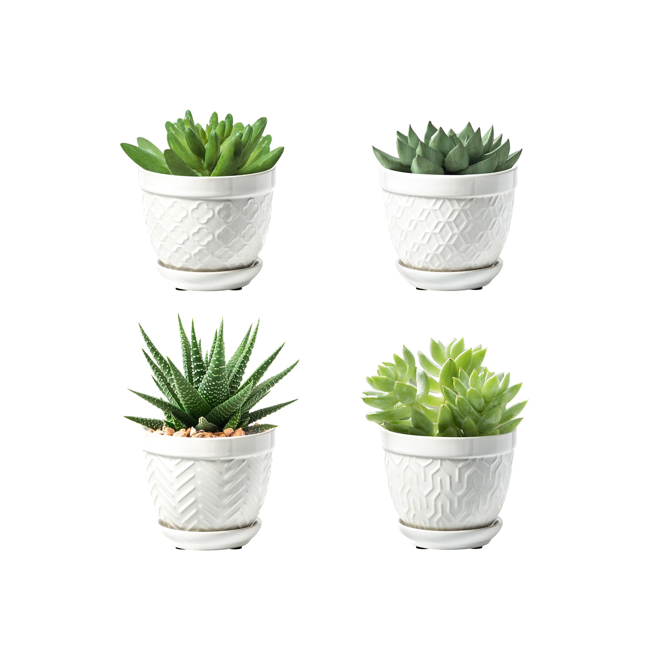 Sureasy succulent pots top view for a neat windowsill display