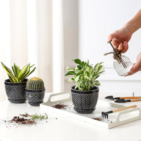 Sureasy black gloss finish complements modern decor and plant combinations.