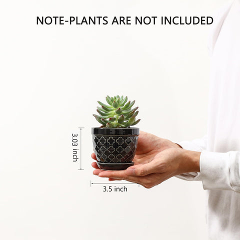 Sureasy minimalist embossed-pattern pots add subtle elegance to shelves.