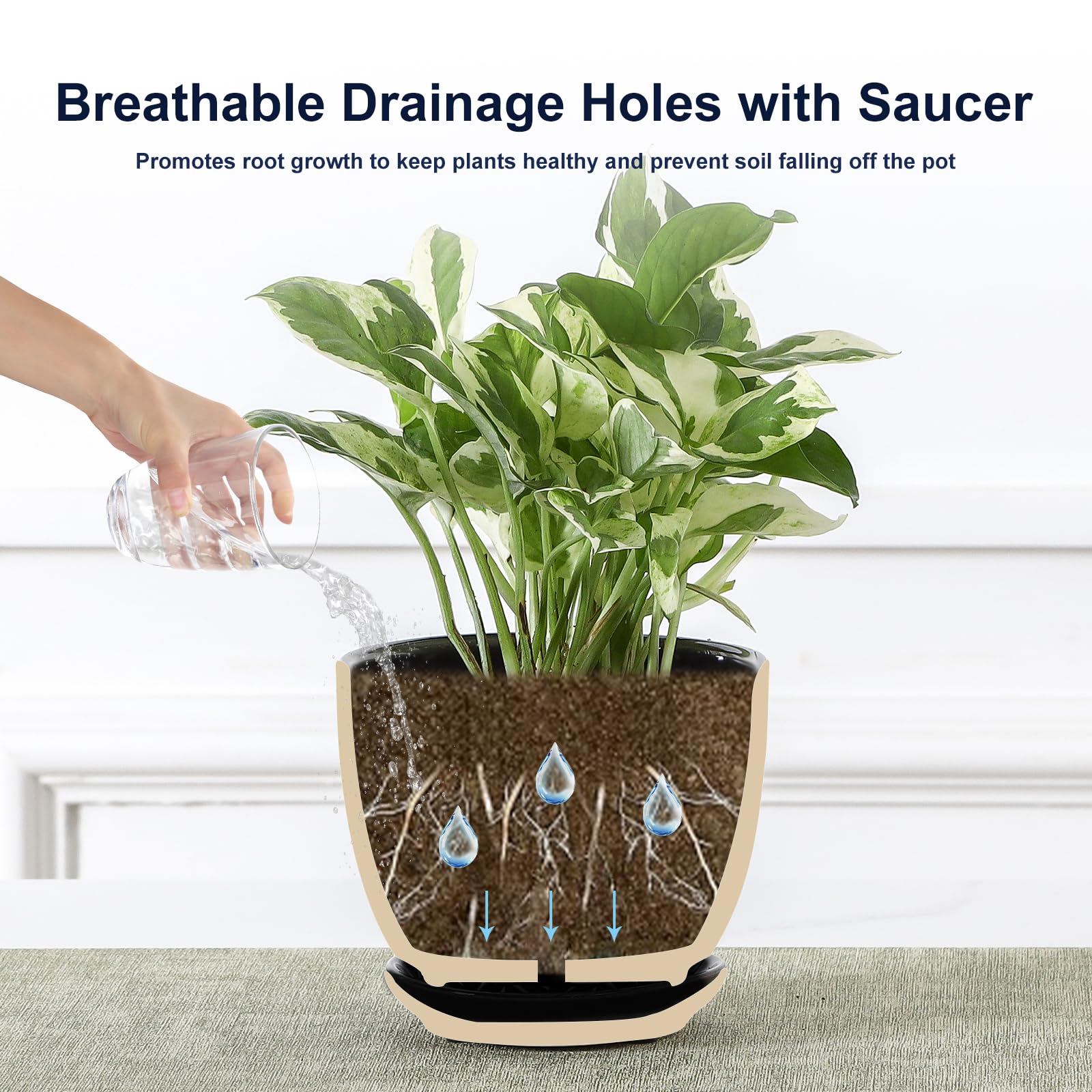 Sureasy removable saucer with feet pads protects surfaces during display.