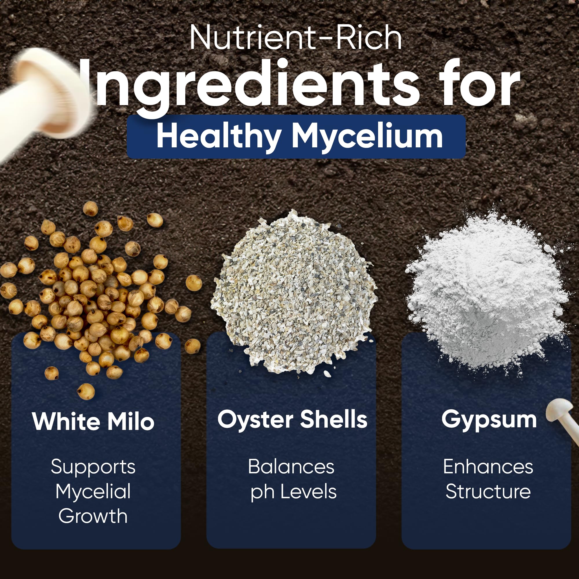 Surfin' Spores hydrated grain bag prepared for immediate inoculation with spores or cultures.