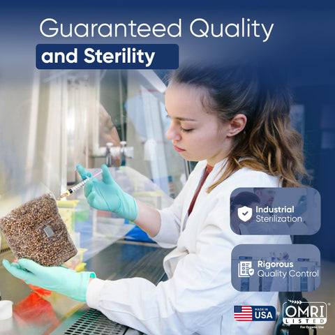 Surfin' Spores ready-for-grow setup aids gourmet and medicinal mushroom projects.
