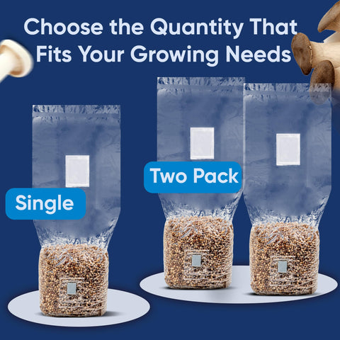 Surfin' Spores packaging emphasizes sterility and long room-temperature storage.