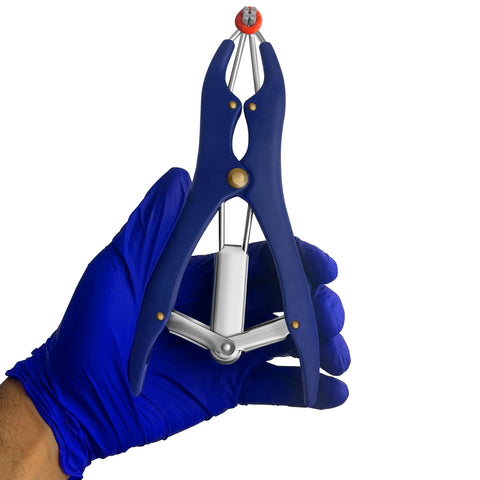 Surgical Online elastic rings two-inch pack, ready for multiple banding sessions