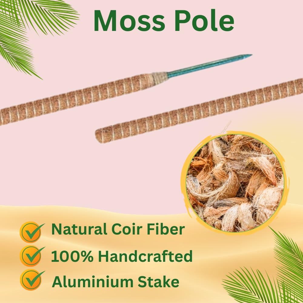 SURPPO moss pole easy install with no tools for quick plant support.
