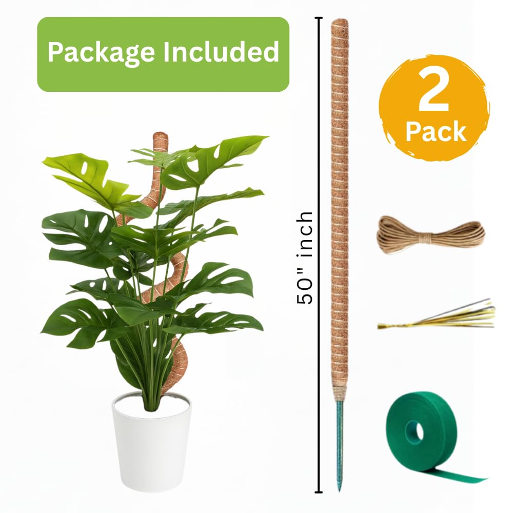 SURPPO moss pole natural coir surface promotes aerial root attachment in indoor plants.