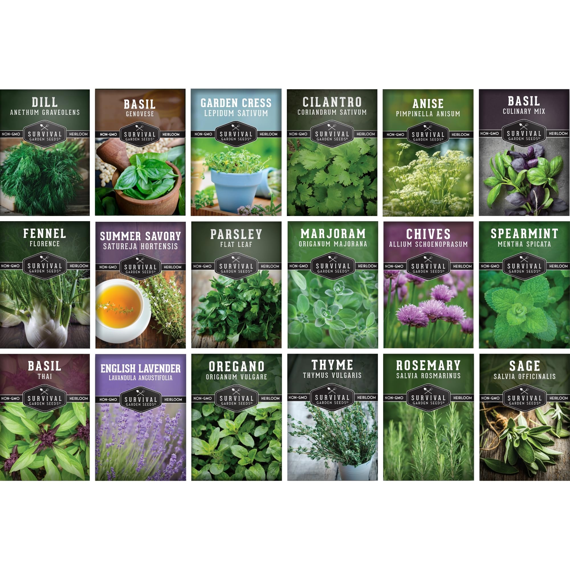 Survival Garden Seeds Genovese basil leaves for fresh kitchen cooking on a sunny windowsill