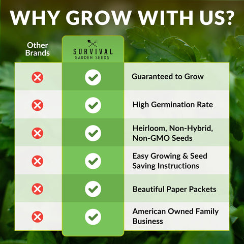Survival Garden Seeds oregano leaves for Italian-style sauces and roasts