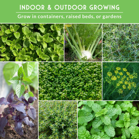 Survival Garden Seeds parsley bunch brightening soups and salads in a compact home garden