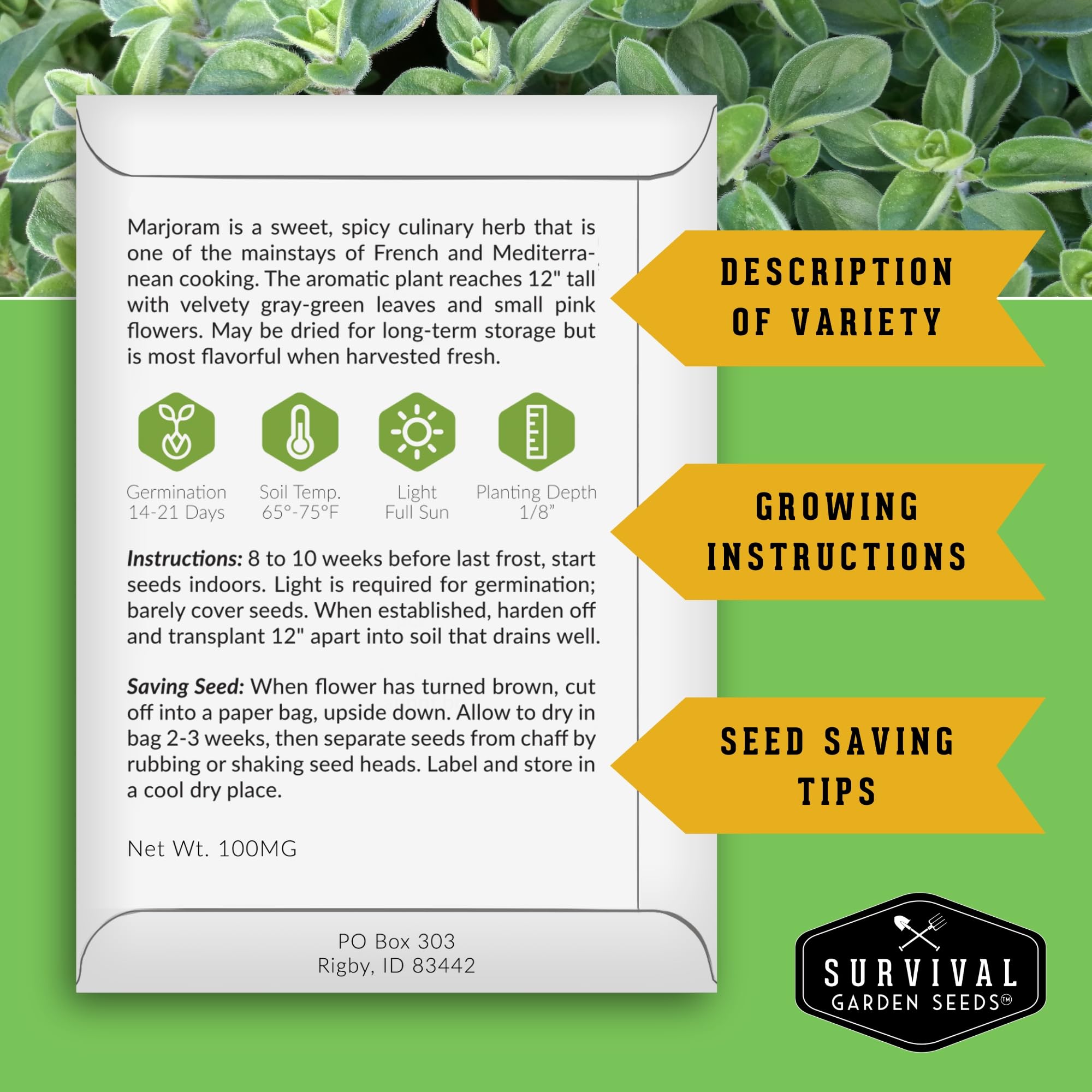 Survival Garden Seeds Thai basil in a balcony planter for vibrant Thai-inspired dishes