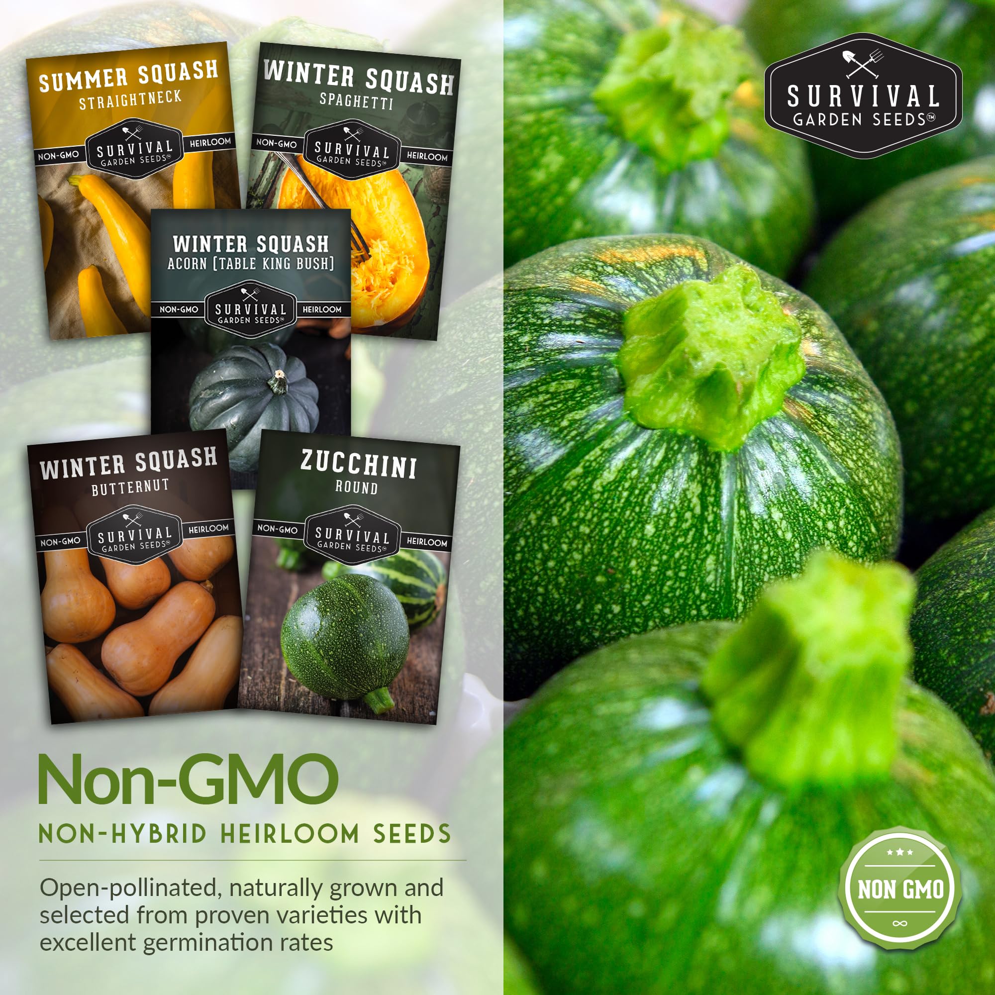 SURVIVAL GARDEN SEEDS acorn squash seed packet with durable skin for storage