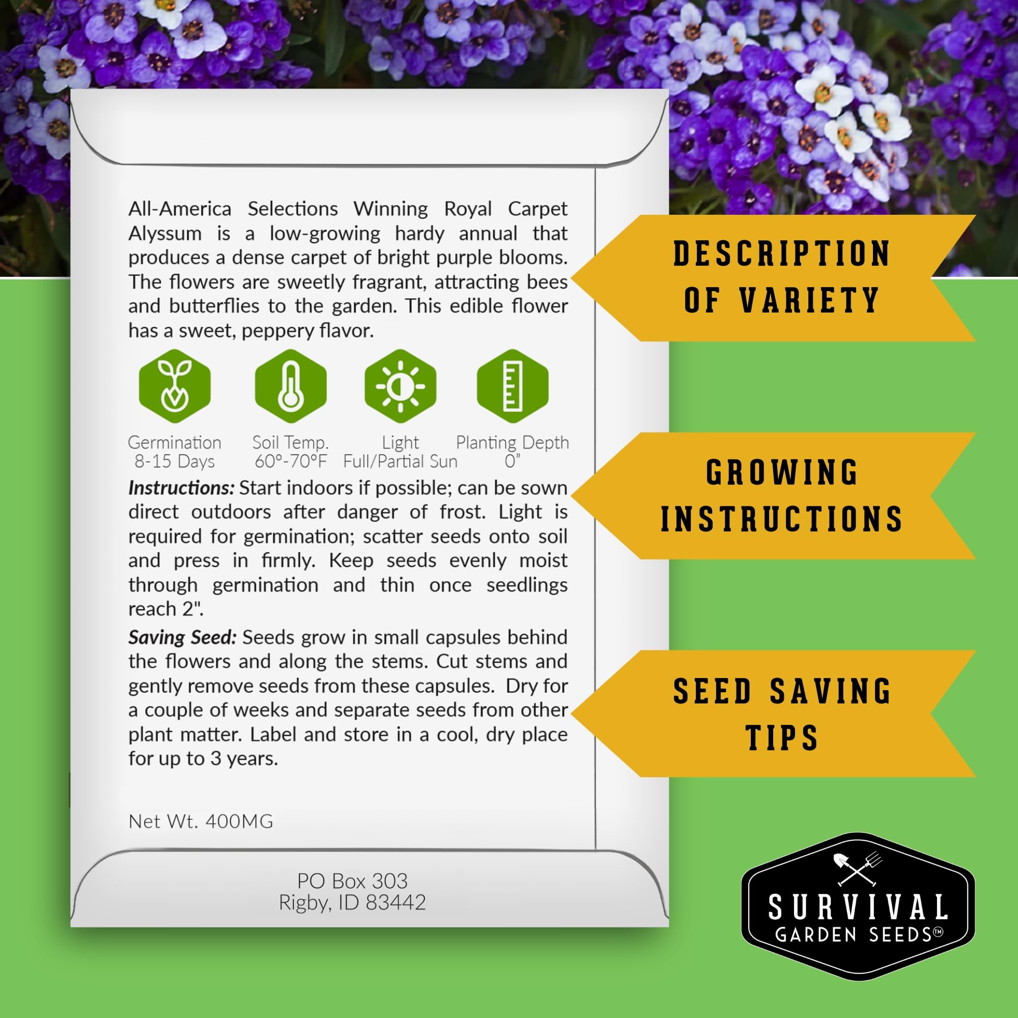 SURVIVAL GARDEN SEEDS Purple alyssum attracts bees with honey fragrance