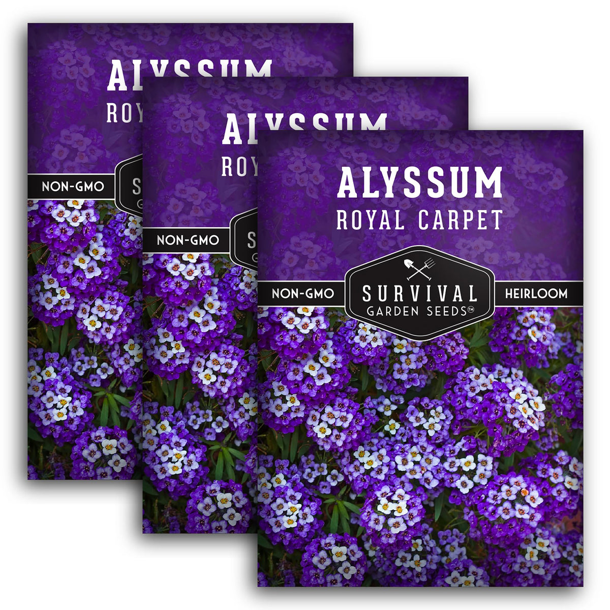 SURVIVAL GARDEN SEEDS Alyssum Sweet Royal Carpet blooms add fragrance to borders