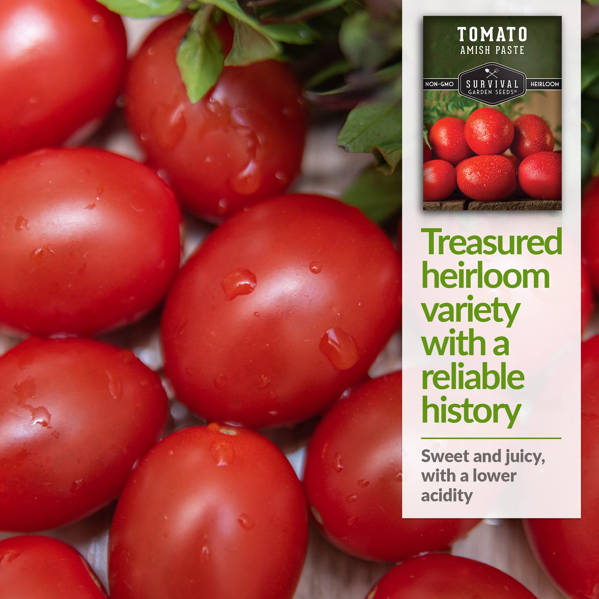 Meaty red Amish Paste tomatoes ideal for sauces and canning.