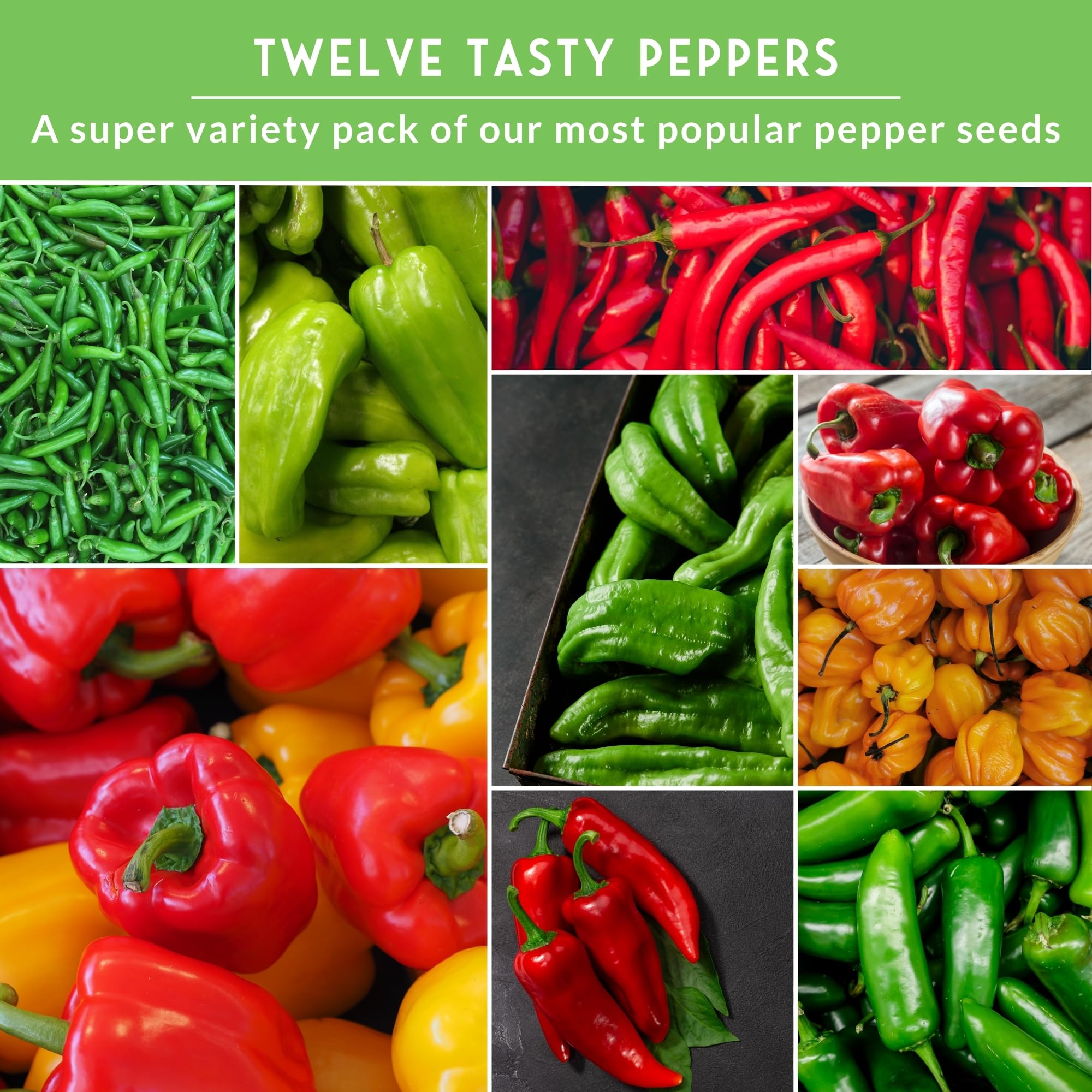SURVIVAL GARDEN SEEDS Anaheim peppers for mild to medium heat in roasting