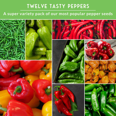 SURVIVAL GARDEN SEEDS Anaheim peppers for mild to medium heat in roasting