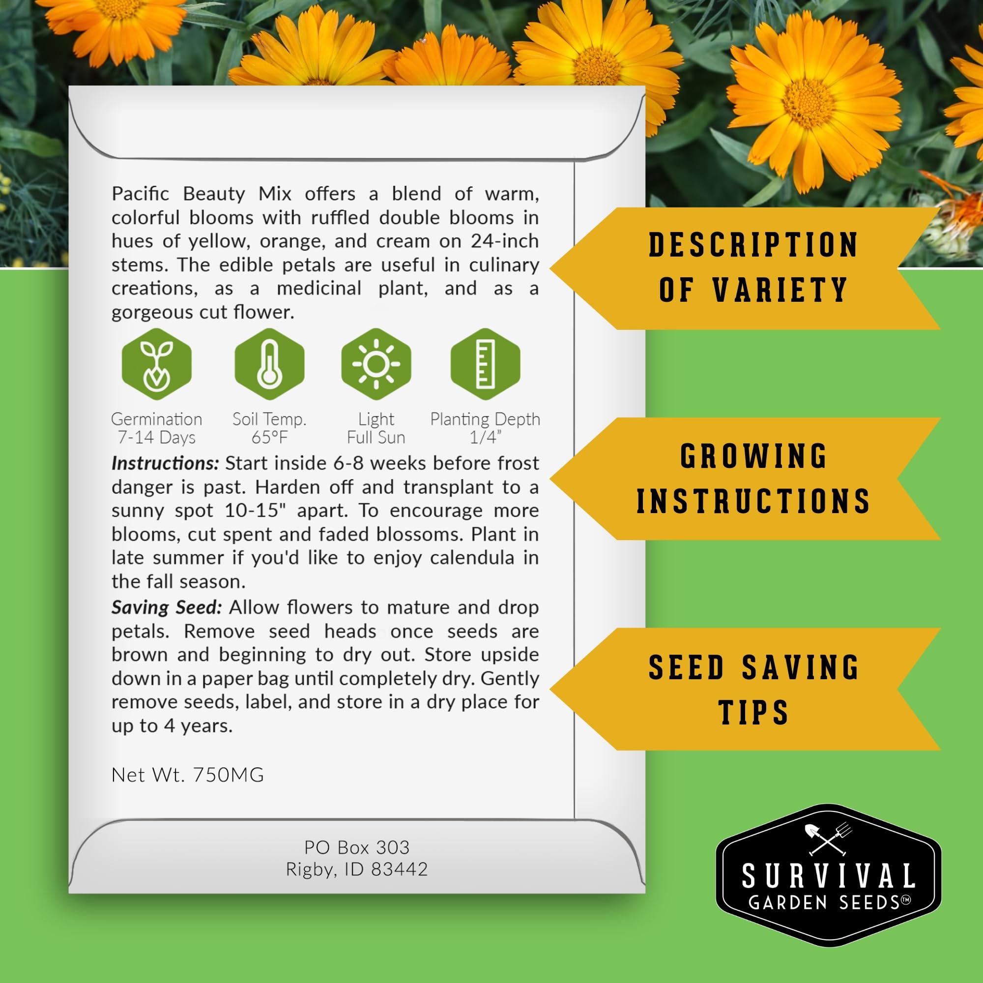 Survival Garden Seeds Apricot Beauty calendula blossom adding warm color to garden