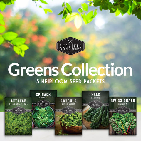 SURVIVAL GARDEN SEEDS arugula seeds for quick, peppery greens in spring harvests.