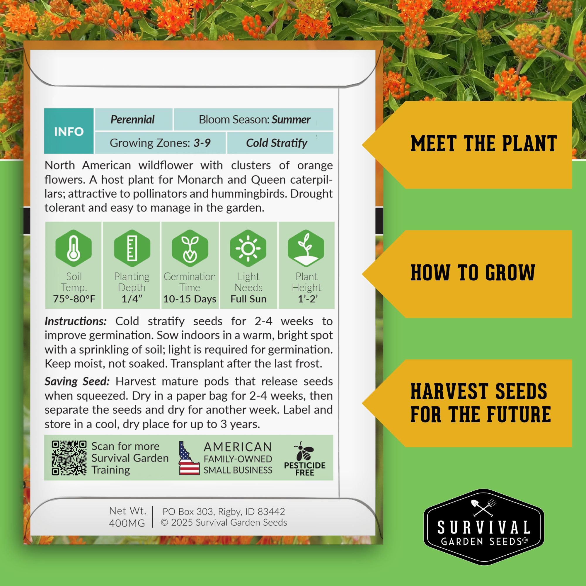 Survival Garden Seeds Asclepias tuberosa flowers attract monarchs in garden