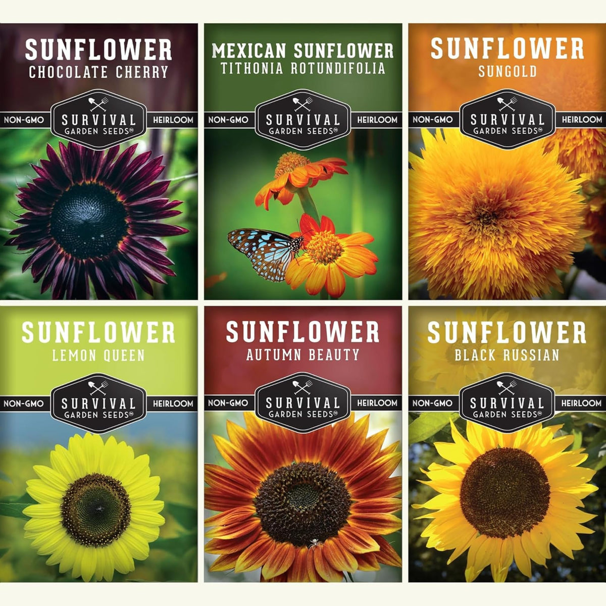 Survival Garden Seeds Autumn Beauty sunflower in full bloom for vibrant garden color and mood-boosting display.